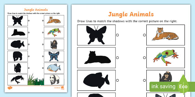 Animal Shadows Sorting Worksheet: Free Printable PDF for Kids