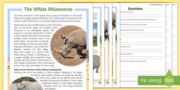 The White Rhinoceros Differentiated Reading Comprehension