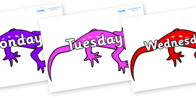 Days of the Week on Geckos