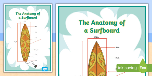 Anatomy of a Surfboard Poster