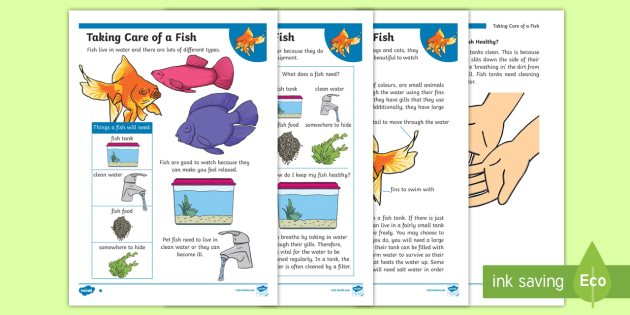 ks1-how-to-look-after-a-fish-differentiated-fact-file-pets-pet-eyfs