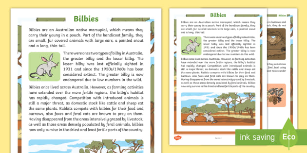 Bilbies Fact Sheet