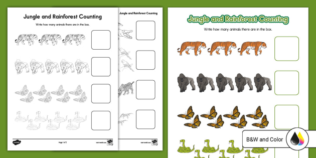Jungle and Rainforest Counting to 10 Worksheet