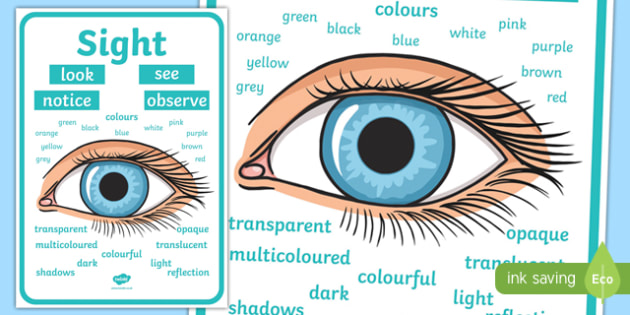Sight Vocabulary Display Poster (teacher made) Sight Vocabulary Display Poster (teacher made)