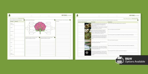 Plant Reproduction Revision Mat | KS3 Biology | Beyond