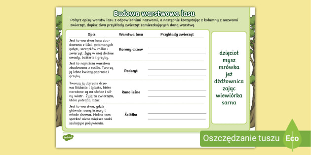 Sprawdzian Las 3 Klasa