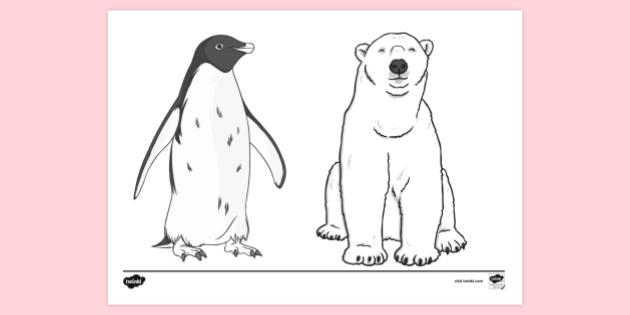 FREE! - Arctic Animals Colouring Sheet | Colouring Sheets