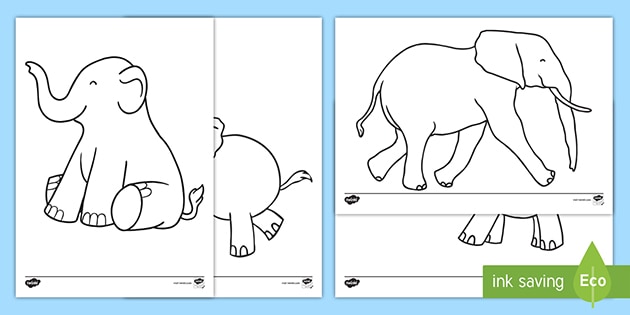 baby elephant colouring pages teacher made