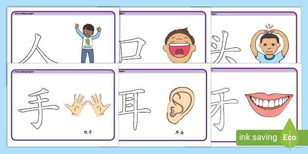 幼儿识字身体部位橡皮泥游戏 Teacher Made