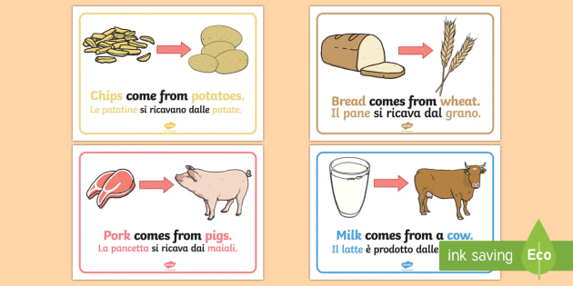 Where does. Where does food come from. Food come from for Kids. Where food comes from Worksheets. Where does come from.