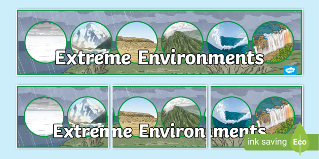 Extreme Environments Display Banner (teacher made)