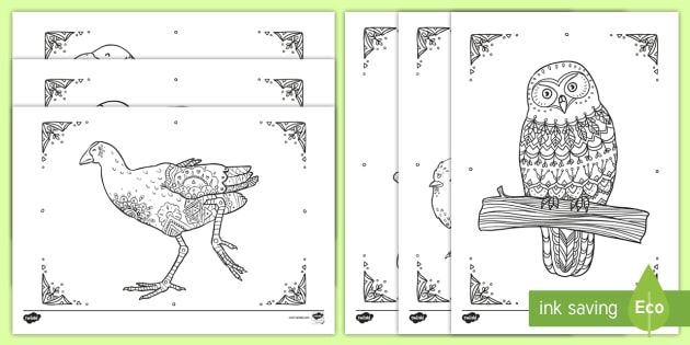 580 Top Nz Bird Coloring Pages , Free HD Download