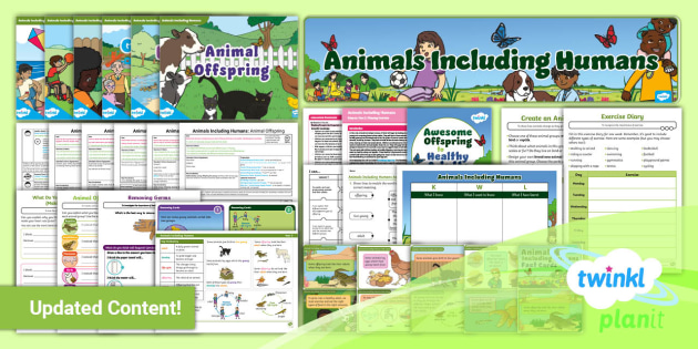 Science: Animals Including Humans Year 2 Unit Pack