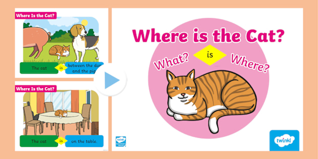 Cat Sentences In English Cat Story Ideas Worksheet Primary Resource