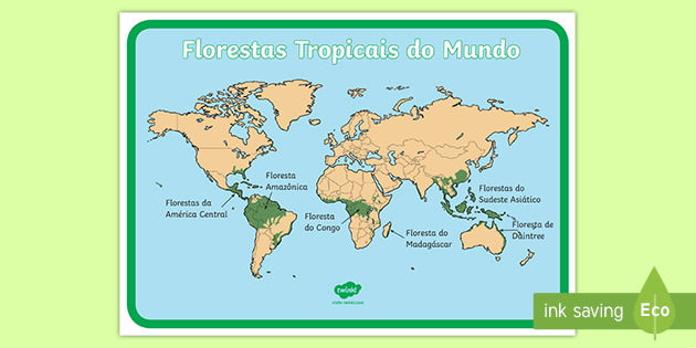 Florestas Tropicais do Mundo