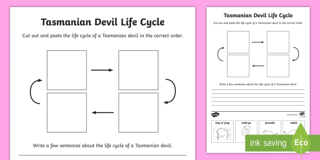 tasmanian-devil-life-cycle-sentence-writing-worksheet