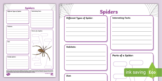 Spider Research Graphic Organizer (Teacher-Made) - Twinkl