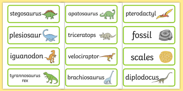 Dinosaur Flash Cards Preschool Picture and Word flash cards Preschool science 