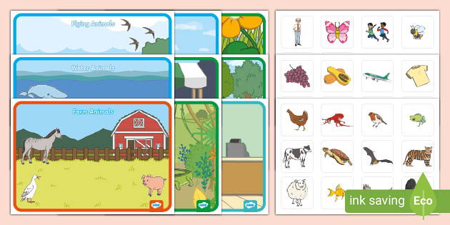 Category Sorting Activity (teacher made)