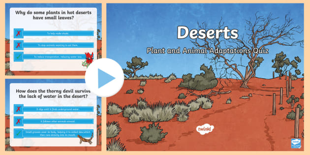 Desert Plant and Animal Adaptations Quiz PowerPoint - Twinkl