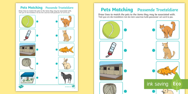 Pets Matching Activity English Afrikaans