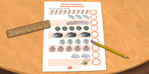 British Seashell Counting Worksheet (teacher made)