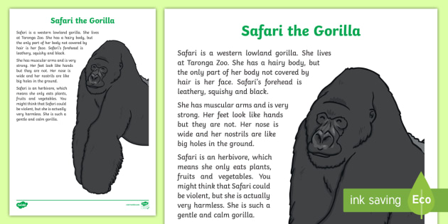 write a short essay on gorilla