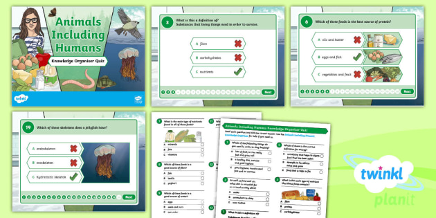 Animals, Including Humans, Year 3 Knowledge Organizer Quiz