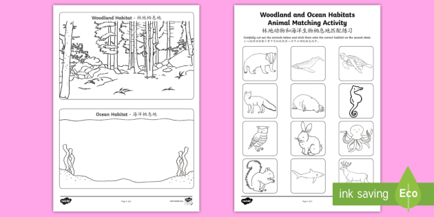 Woodland and Ocean Habitats Animal Sorting Worksheet / Worksheet