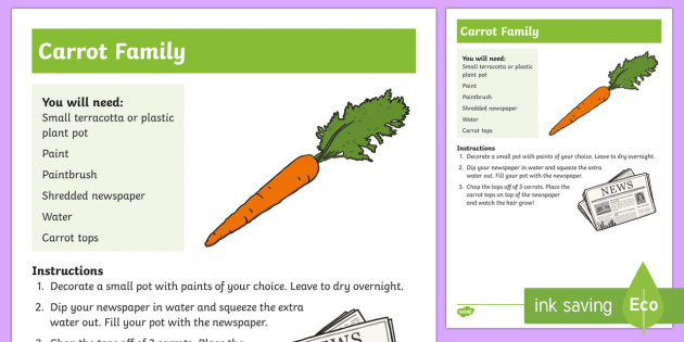 Carrot Family Outdoor Activity Step By Step Instructions