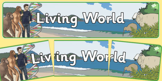 Living World Display Banner Nz Teacher Made