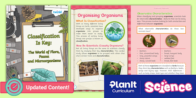 Science: Living Things and Their Habitats: Year 6 Classification Is Key: The World of Flora, Fauna and Microorganisms eBook