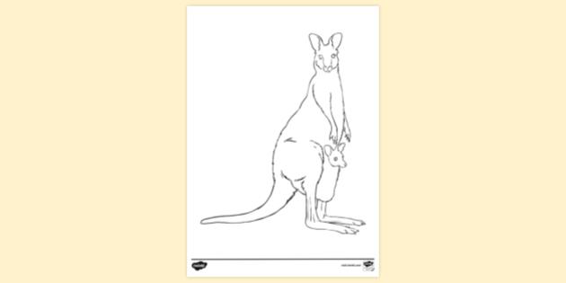 Joey in Mothers Pouch Kangaroo Colouring | Colouring Sheets