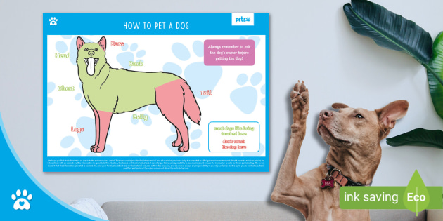How To Pet a Dog - Display Poster - Twinkl Pets