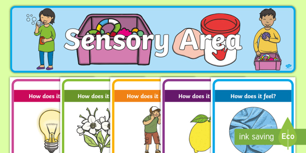 Sensory Table Poster Display Pack (teacher made)