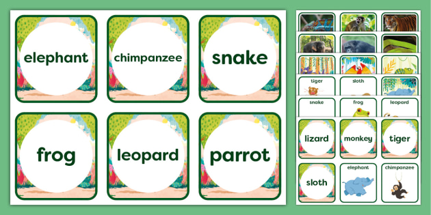 Jungle Animal Matching Game Printable | Matching Cards