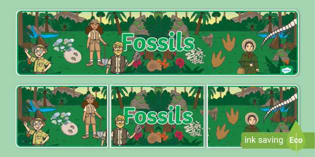 Fossils Display Banner (Teacher-Made)