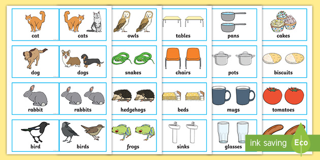 Regular Plural Cards Singular And Plural Image Cards