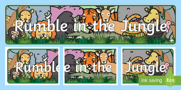 Display Banner To Support Teaching On Rumble In The Jungle