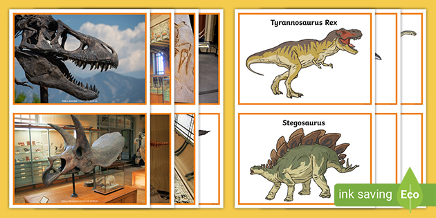 Dinosaurs And Their Fossils Sort Cards Science Parents
