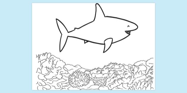 Baby Shark Printable Colouring Pages Twinkl