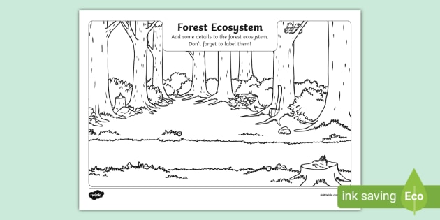 How to draw forest scene Step by step | Forest drawing for beginner (very  easy) | Art video | Forest drawing, Simple art, Drawing for beginners