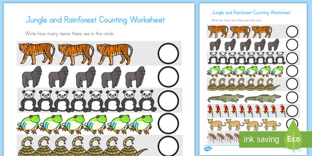 jungle and rainforest counting activity teacher made