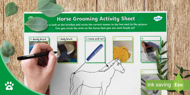 horse grooming activity sheet horses twinkl pets