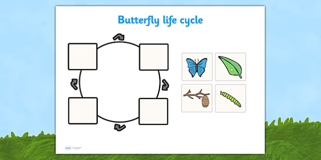 EYLF Butterfly Life Cycle Cut and Stick Activity