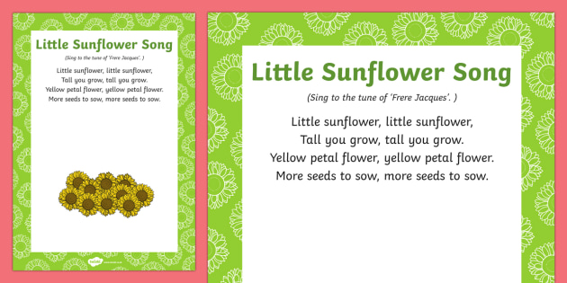 Little Sunflower Song (teacher made)