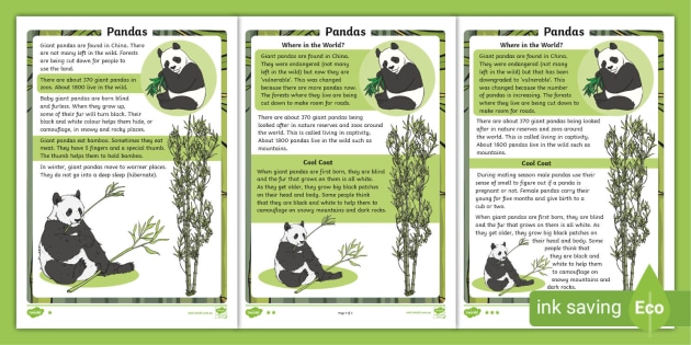 panda reading comprehension worksheets teacher made