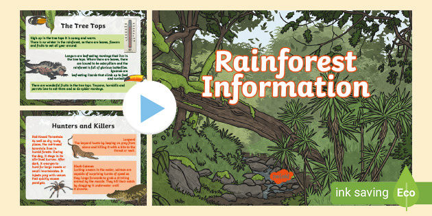 Rainforest Information PowerPoint KS2