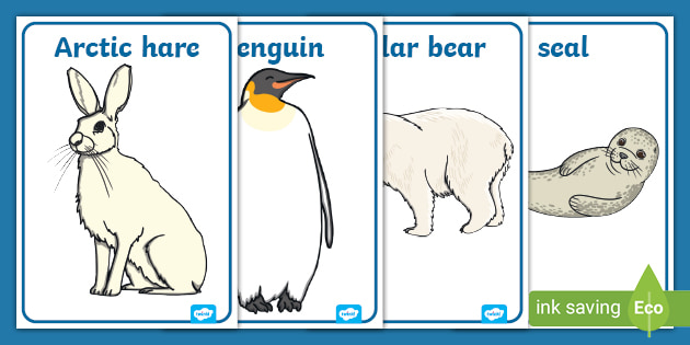 Polar Regions Animals Display Posters - Polar List - Twinkl