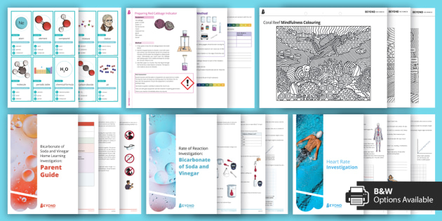 summer-of-science-activity-pack-teacher-made